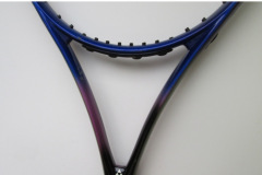 fischer201606d2