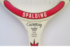 Spalding CourtKing