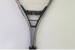 Spalding System GT silver