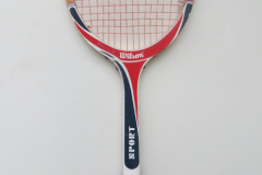 Wilson Sport